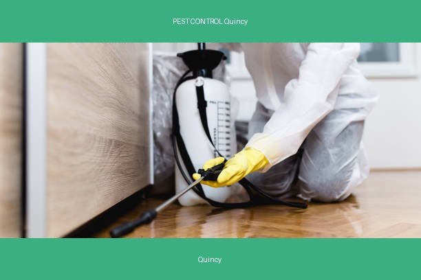 PEST CONTROL Quincy